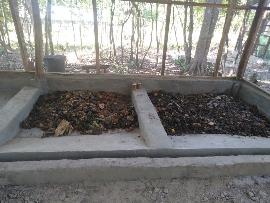 Organic waste management using Black Soldier Fly Kalawili